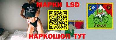 прущий лед Будённовск