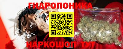 прущий лед Будённовск